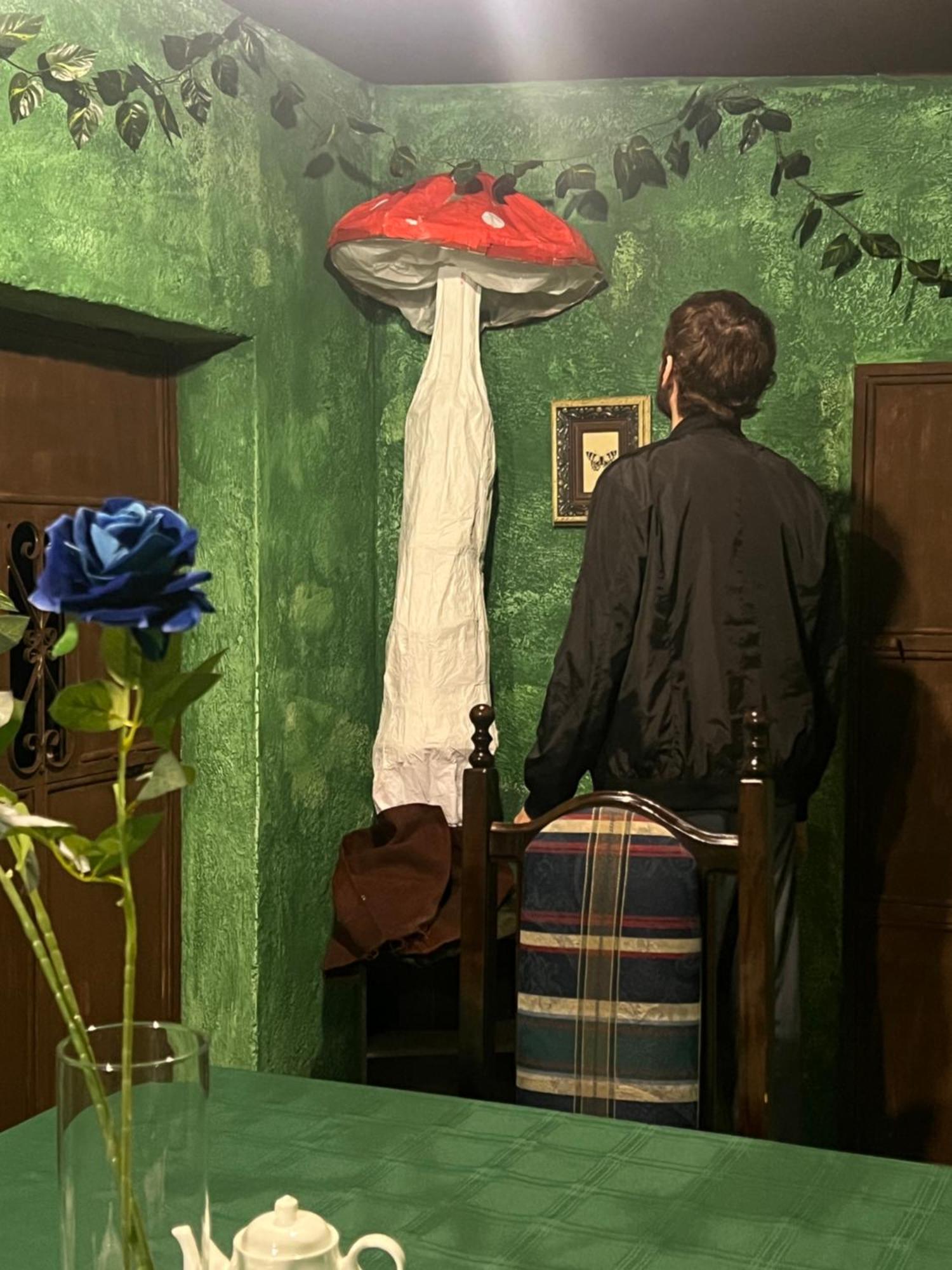 Wonderland Hostel 危地马拉安地瓜 外观 照片