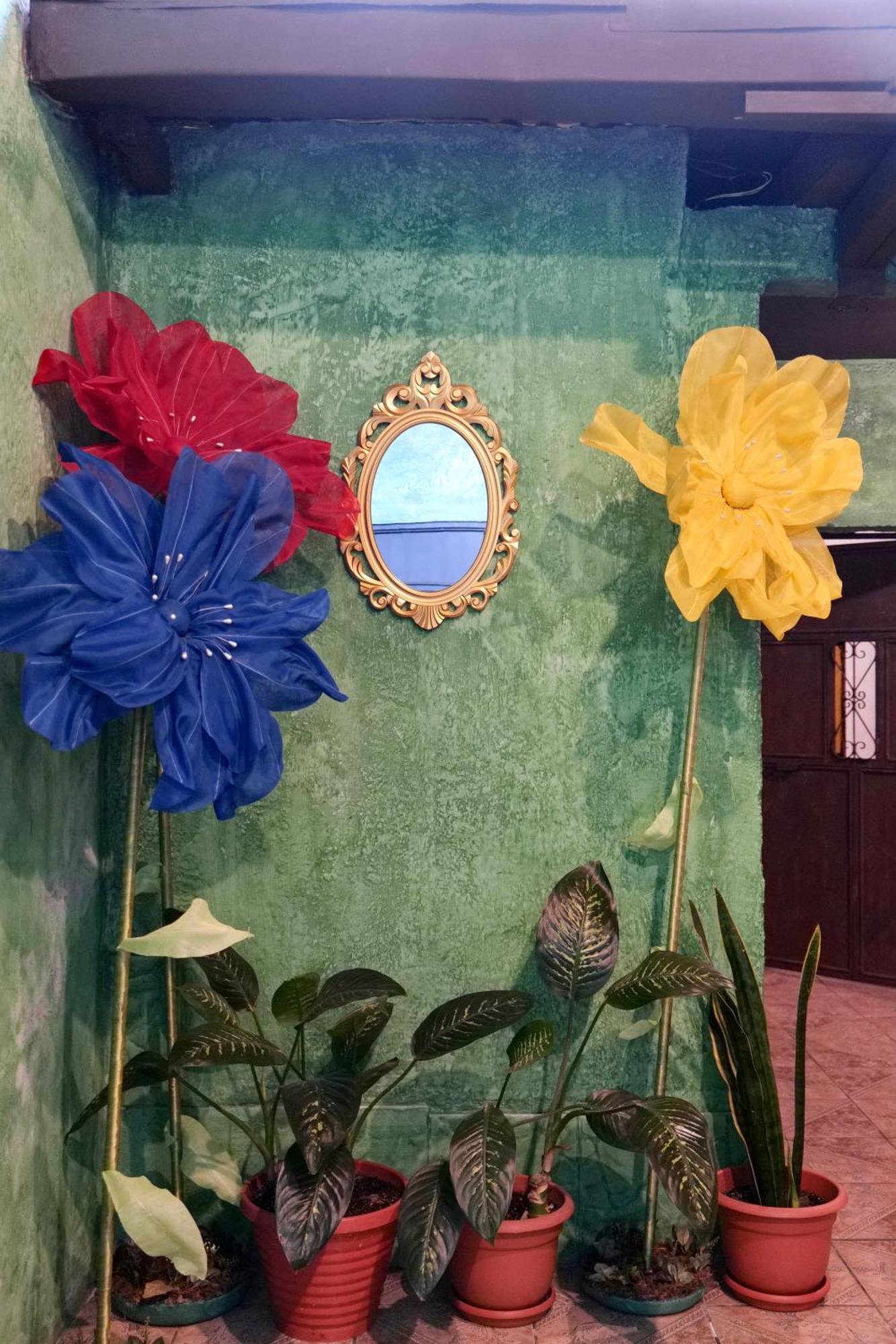 Wonderland Hostel 危地马拉安地瓜 外观 照片