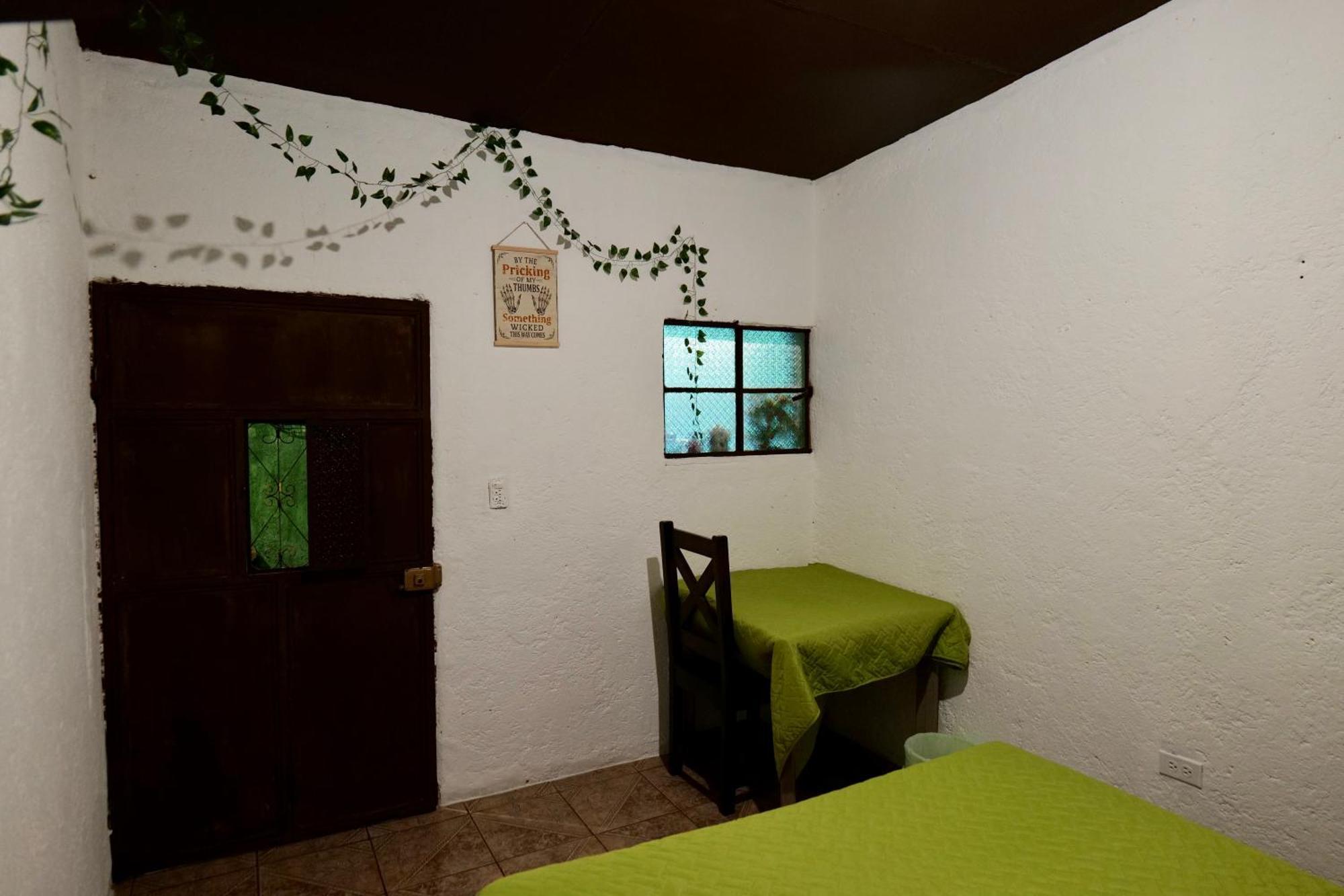 Wonderland Hostel 危地马拉安地瓜 外观 照片
