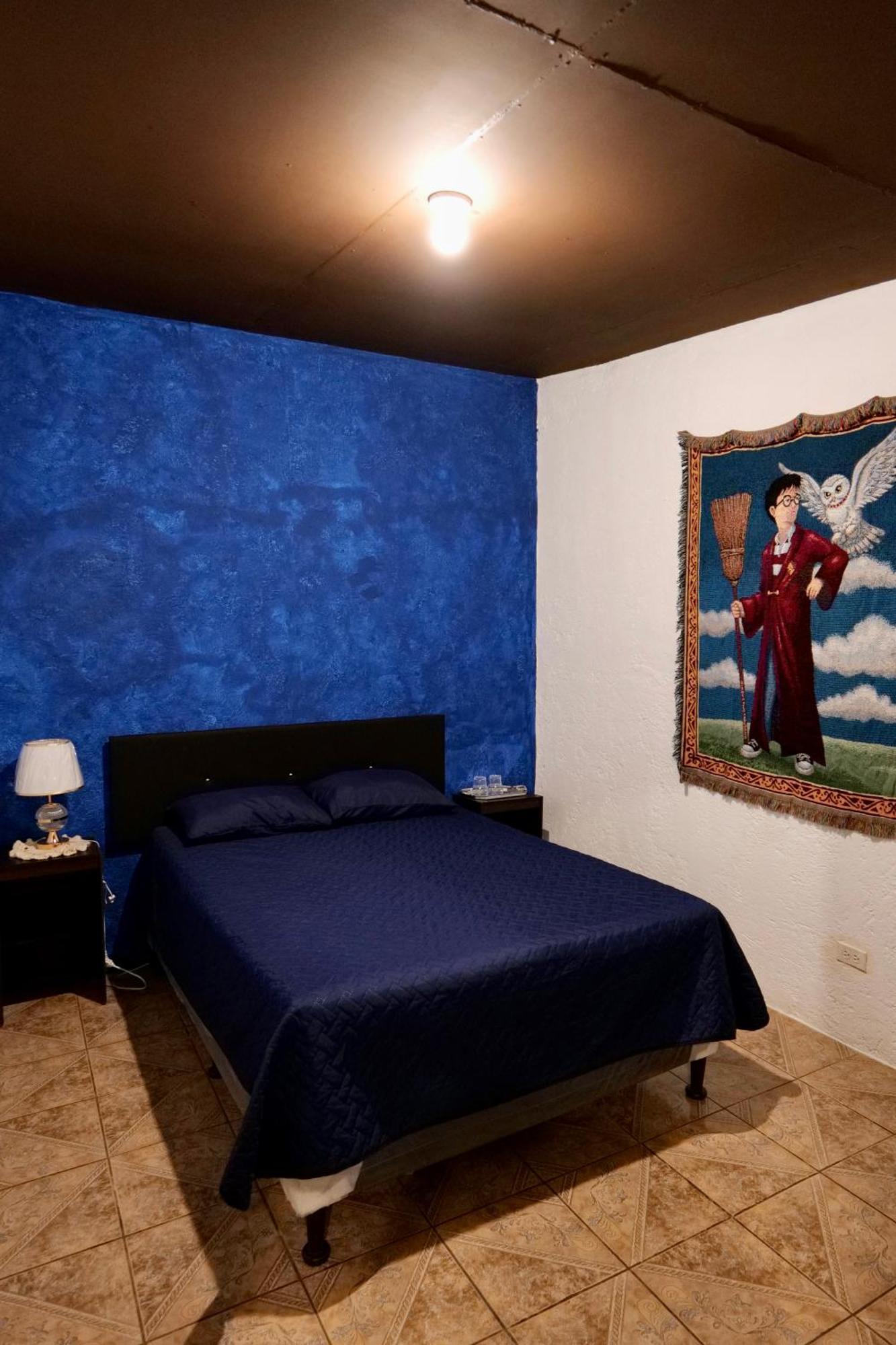Wonderland Hostel 危地马拉安地瓜 外观 照片