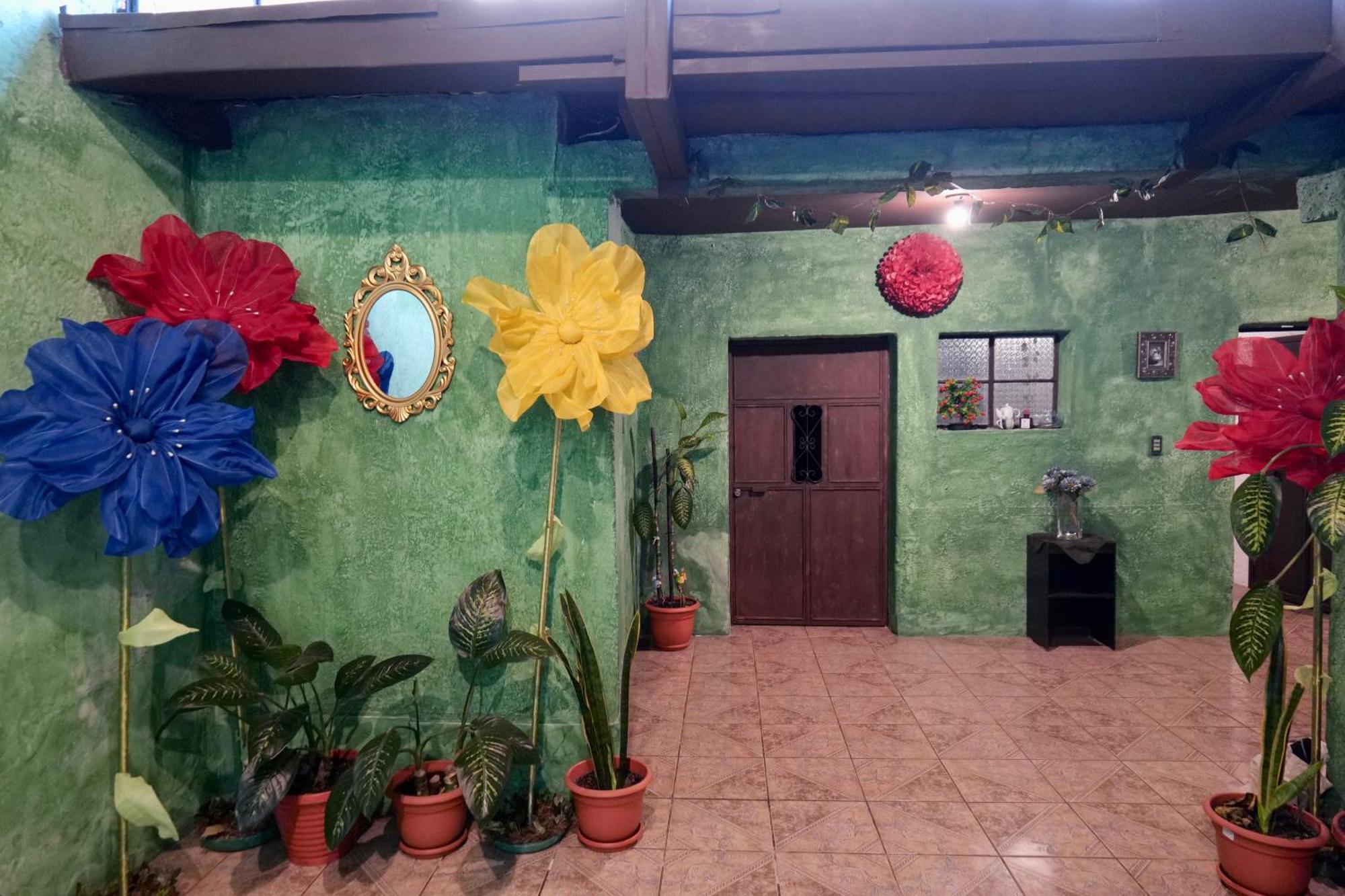 Wonderland Hostel 危地马拉安地瓜 外观 照片